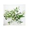 18" Arrow Ivy Bush in Green/Cream - Greenery Accent for Decor - Perfect for DIY Arrangements and Centerpieces- (PM3020-GC)